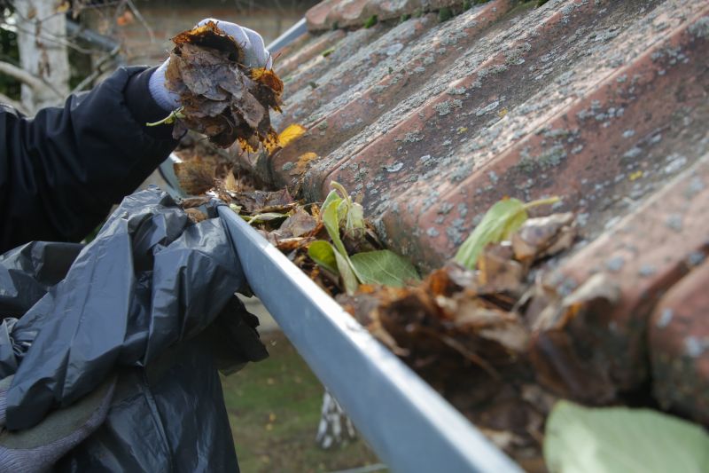 Gutter Cleaning Services