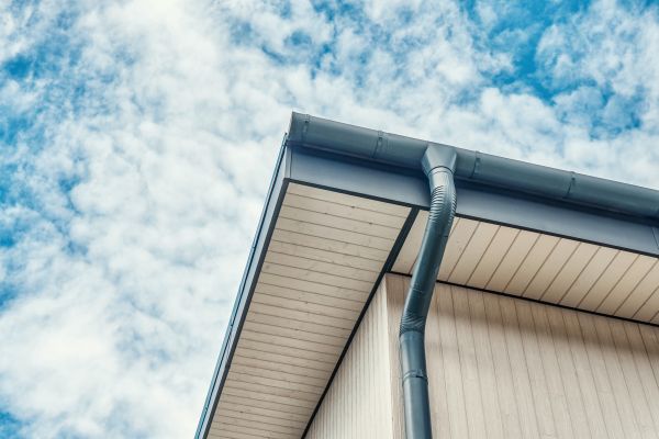 Gutter Fascia Repair in Dothan