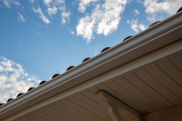 Cost of K Style Gutter Installation in Dothan