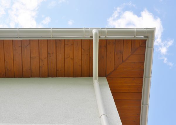 Cost of Downspout Diverter Service in Dothan